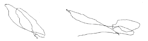 fig.2 Left and Right : The Variations of Conductor�s Right Hand Strokes